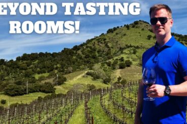 8 Best Winery Experiences in Napa Valley