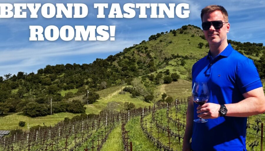 8 Best Winery Experiences in Napa Valley