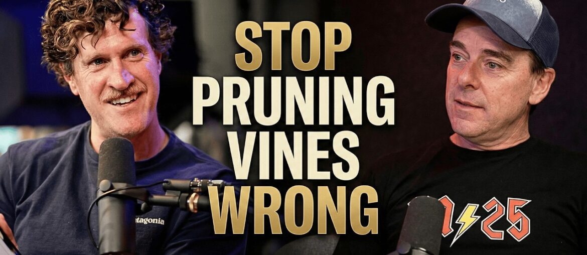 What If Vine Stress Doesn’t Actually Make Better Wine? What If Vine Stress Doesn't Actually Make Better Wine?