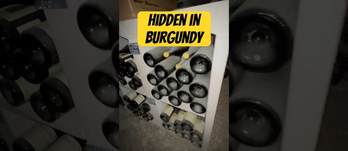 What Happens Inside a Burgundy Wine Cellar What Happens Inside a Burgundy Wine Cellar