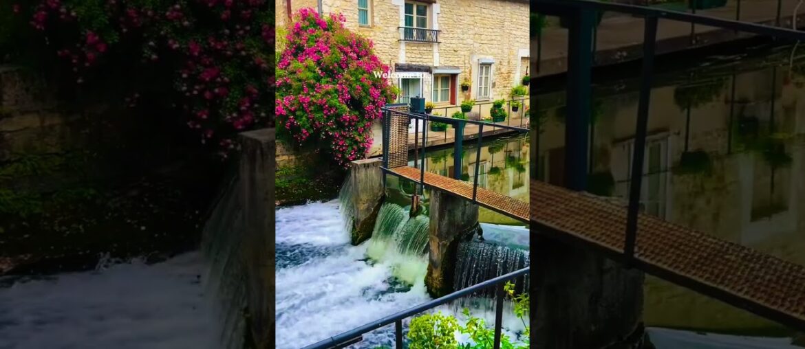 Chablis, Burgundy | A Perfect France Day Trip 🇫🇷