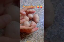 french fries 🍟🍟 #shorts#food #french fries#potato recipe#food #minivlog #shortvideo #recipe #fry