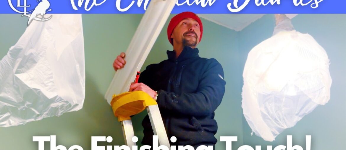 Chateau Wine Store Renovation: The Coving Goes Up! 🏰🛠️