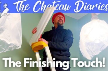 Chateau Wine Store Renovation: The Coving Goes Up! 🏰🛠️