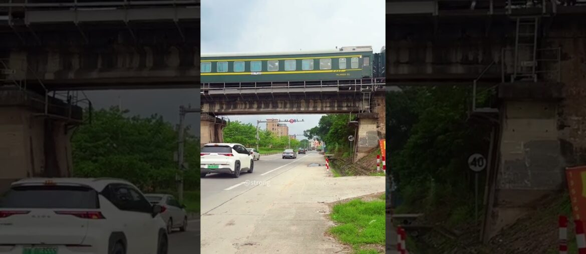 🧂✨ 82 Minerals French Grey Sea Salt – Pure, Hand‑Harvested Flavor from the Sea! ✨🧂