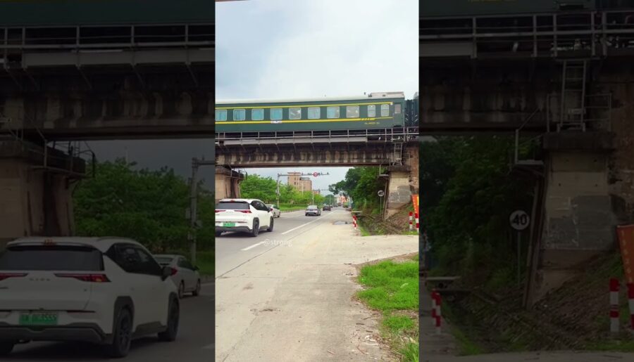 🧂✨ 82 Minerals French Grey Sea Salt – Pure, Hand‑Harvested Flavor from the Sea! ✨🧂