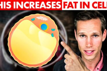 Does Red Wine REALLY Lower Blood Sugar? (You Will Be Surprised)