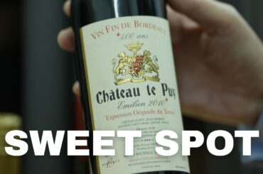 Cellar-Worthy Reds — Wines That Shine Young and Improve With Time