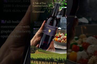 🍷Cimarossa and Château Léoville Barton