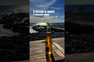 Ocean View: Promenade des Anglais, France