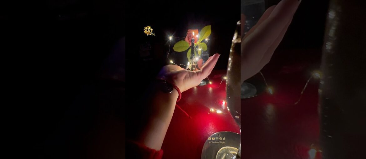 Sigue tu instinto #francia #paris