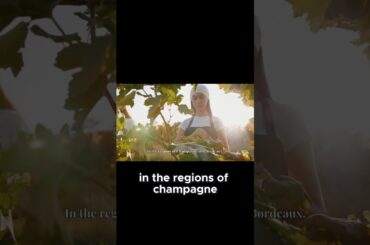 How the 1811 Comet Sparked a Legendary Vintage in France’s Wine Country!