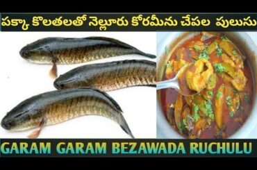#పక్కా కొలతలతో నెల్లూరు కోరమీను చేపల  పులుసు@garamgarambezawadaruchulu9437