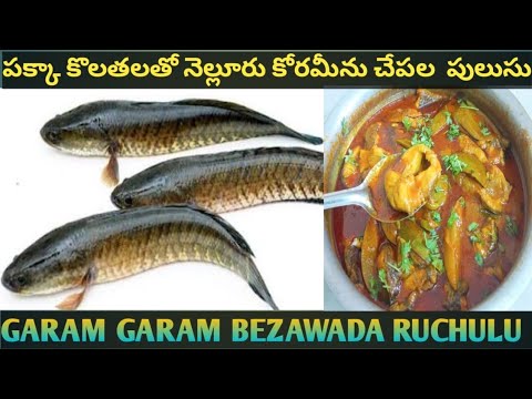 #పక్కా కొలతలతో నెల్లూరు కోరమీను చేపల పులుసు@garamgarambezawadaruchulu9437