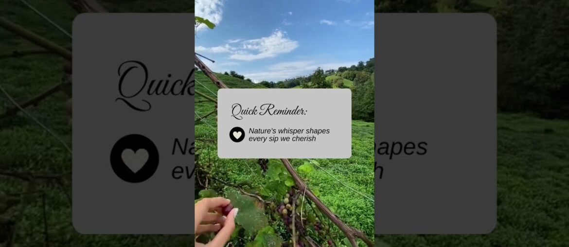 Nature's Story in Every Sip