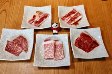 Wagyu Yakiniku & Sushi All-You-Can-Eat! Tokai Gourmet Festival 2026 in Osaka, Japan