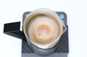 DHPO Stainless Steel & Glass French Press (CPA800-07B) | Elegant, Professional Brewing At Home ☕