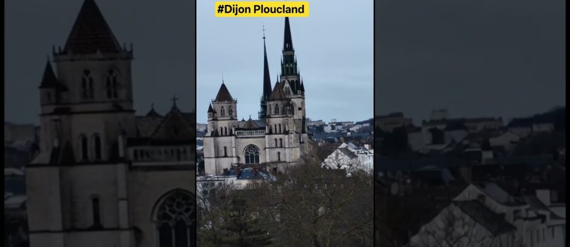 ​Ville de Dijon 4k 🍷🍗🥖🇨🇵 #travel #europe