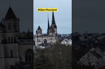 ​Ville de Dijon 4k 🍷🍗🥖🇨🇵 #travel #europe