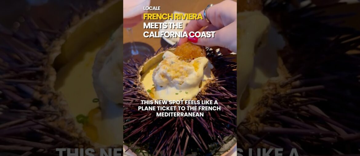 Fleurette La Jolla. Chef Travis Swikard French Riviera cuisine. Ricotta gnocchi and uni eggs.