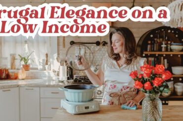 Feeding 8 on $20 | Elegant Homemaking on A Shoestring Budget | Buydeem Slow Cooker