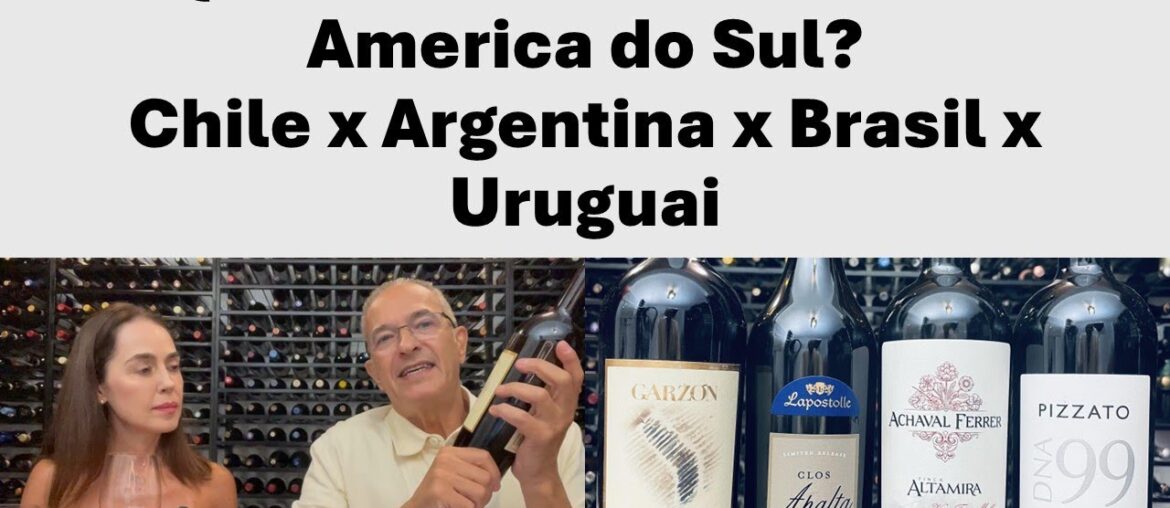 Qual o melhor vinho da América do Sul? Qual o melhor vinho da América do Sul?
