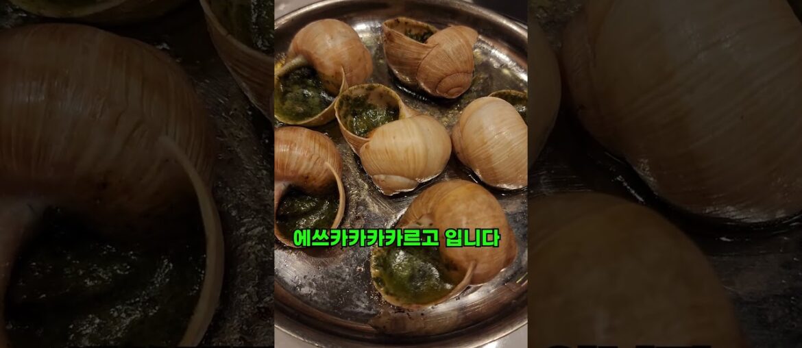 파리 여행에서 꼭 가야할 레스토랑 #shorts