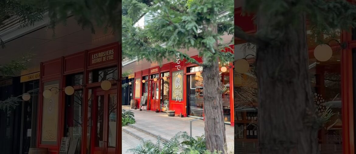 仏ミシュラン星獲得の千円代ランチが日本にもある！