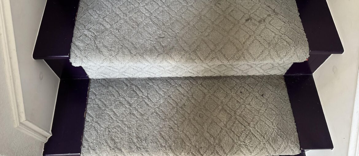 fake wood stairs with carpet