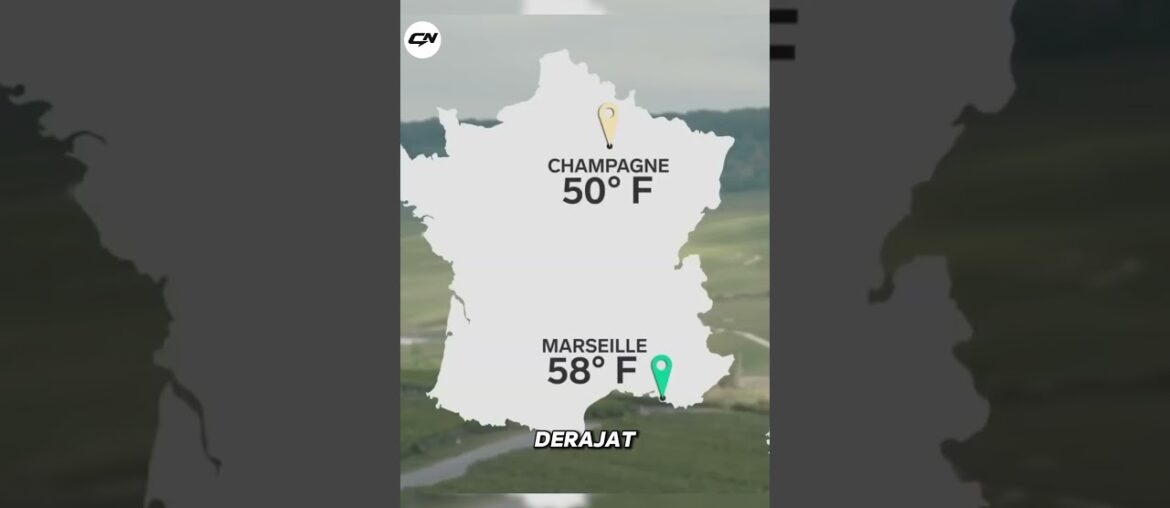 Kenapa Champagne Mahal? Minuman Mewah yang Hanya Bisa Dibuat di Satu Wilayah Dunia