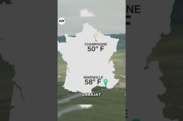 Kenapa Champagne Mahal? Minuman Mewah yang Hanya Bisa Dibuat di Satu Wilayah Dunia