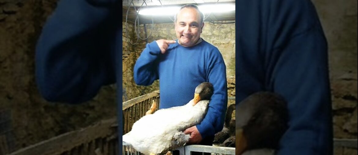 What is Foie Gras? || Farm Modernization || ThLuxury Fattened Duck 🦆 Livers #viralvideo #facts #food