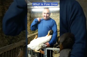 What is Foie Gras? || Farm Modernization || ThLuxury Fattened Duck 🦆 Livers #viralvideo #facts #food