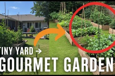 12 Elegant Potager Layouts: Grow Gourmet Food in the Tiniest Urban Backyard! 🌿🍅