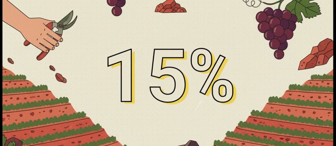 Hermitage: The Hill of Majesty and Syrah