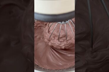 French meringue macarons 💫