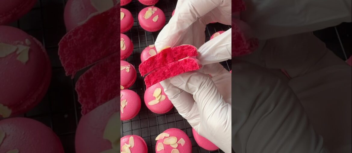 Pink French Macaron Break • Soft Almond Texture 💗 Pink French Macaron Break • Soft Almond Texture 💗