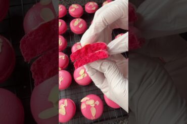 Pink French Macaron Break • Soft Almond Texture 💗