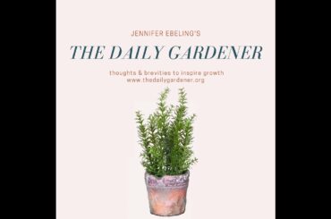 January 29, 2020 Seeds and Berries, Ghost Orchid Pollinators, George Engelmann, Sir Michael Foste...