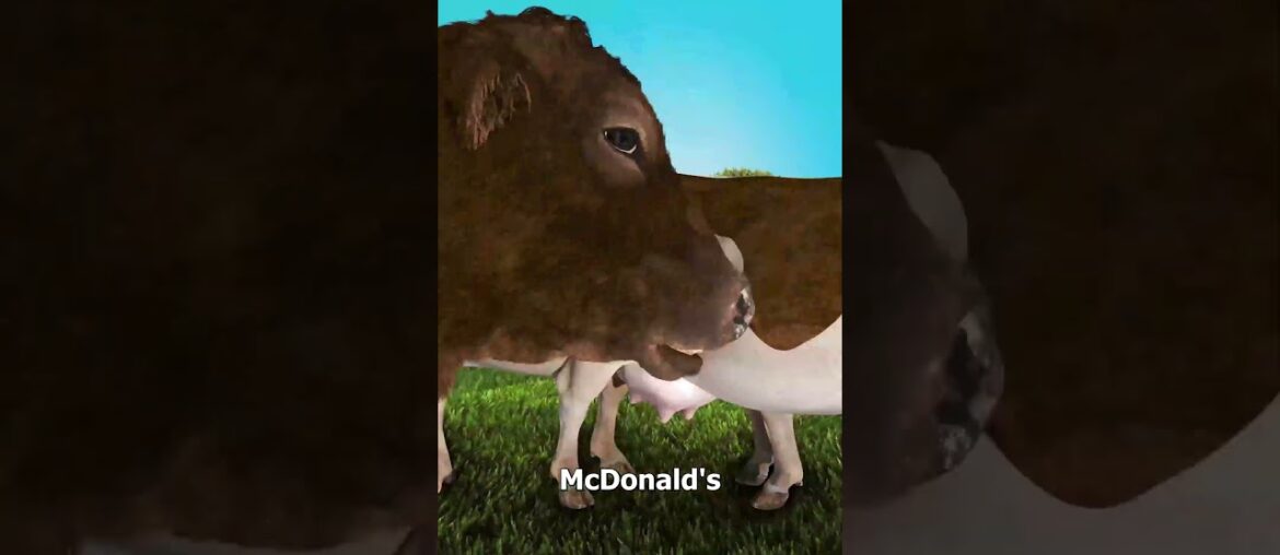 How Many Cows Does McDonalds Use Every Day 🤔