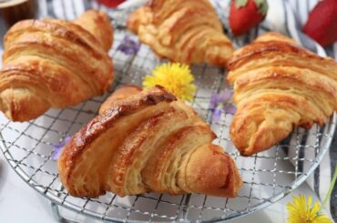 How to Make Croissants From Scratch (Step-by-Step French Method)