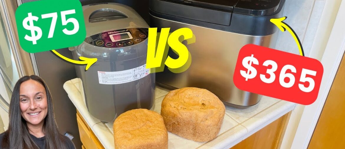 Elite Gourmet Bread Maker VS Panasonic SD-R2550 Bread Machine Elite Gourmet Bread Maker VS Panasonic SD-R2550 Bread Machine