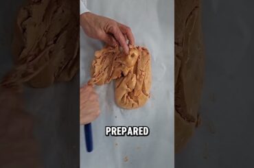 One of the Most Luxurious Foods in the World | Foie Gras #foiegras #streetfood #shots #foodie