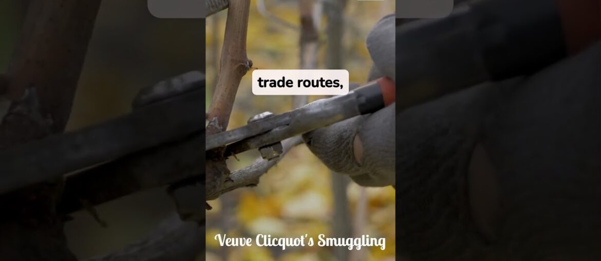 The Widow Who Built an Empire: The Story of Veuve Clicquot #worthitwines #champagne #winehistory The Widow Who Built an Empire: The Story of Veuve Clicquot #worthitwines #champagne #winehistory