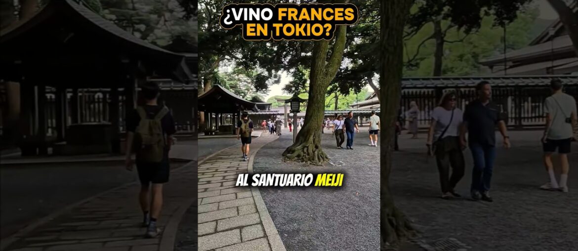 El secreto francés oculto en Japón ⛩️🇫🇷 #shorts #curiosidades #viajes