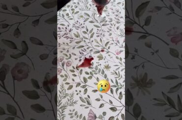 No more red wine stains on your tablecloth