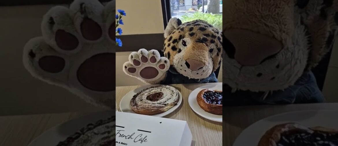 French cafe #leo #funny #cute #cuteanimals #dinner #catvideos