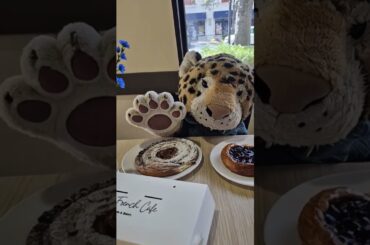 French cafe #leo #funny #cute #cuteanimals #dinner #catvideos