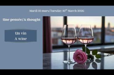 Daily French stories: Le vin/Wine #learnfrench #french #frenchlessons