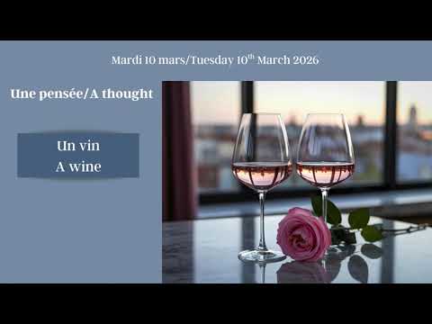 Daily French stories: Le vin/Wine #learnfrench #french #frenchlessons Daily French stories: Le vin/Wine #learnfrench #french #frenchlessons